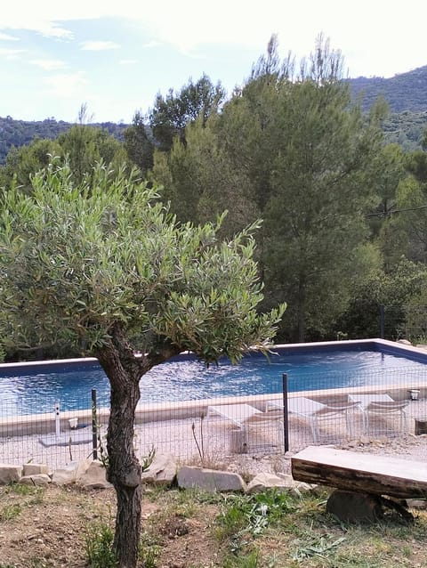 Garden, Swimming pool