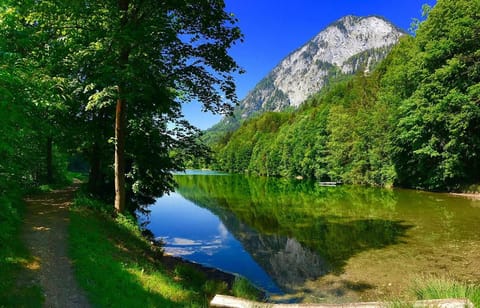 Lake view