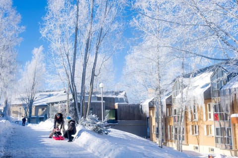 Property building, Winter, Family