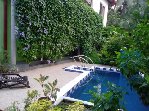 Abha Villa with Private pool Bed and Breakfast in Galle