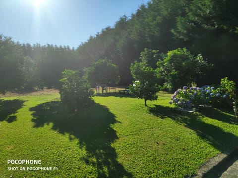 Natural landscape, Garden, Garden view