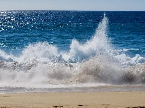 Natural landscape, Beach