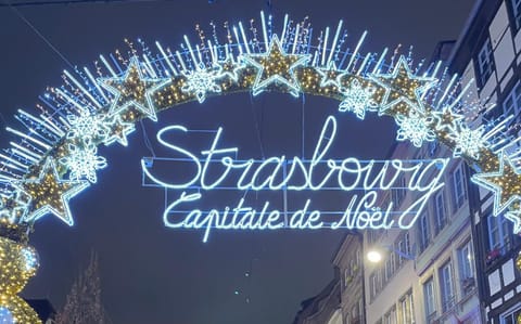 Maisonnette indépendante 25 m2 avec Jacuzzi Bed and Breakfast in Strasbourg