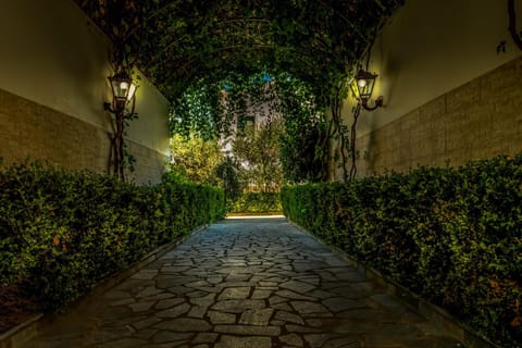 Patio, Facade/entrance, Garden