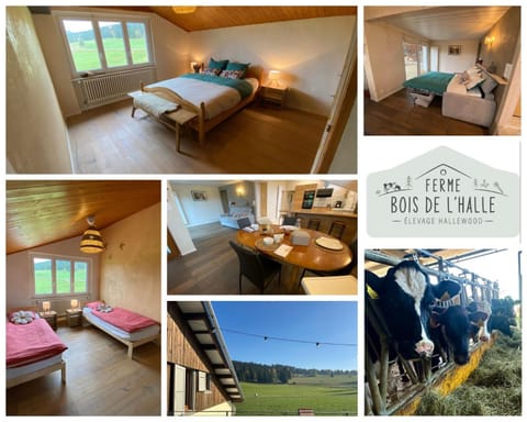Tente Glamping dans les arbres de la Ferme du Bois de l'halle Campground/
RV Resort in Nidwalden