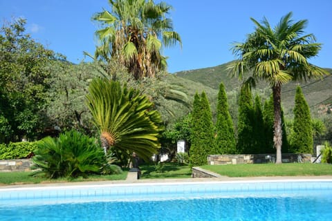 Villa Olive Casa in Peloponnese, Western Greece and the Ionian