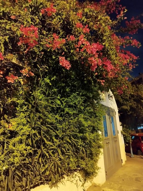 Moschato modern cozy apartment with private yard Apartment in Kallithea