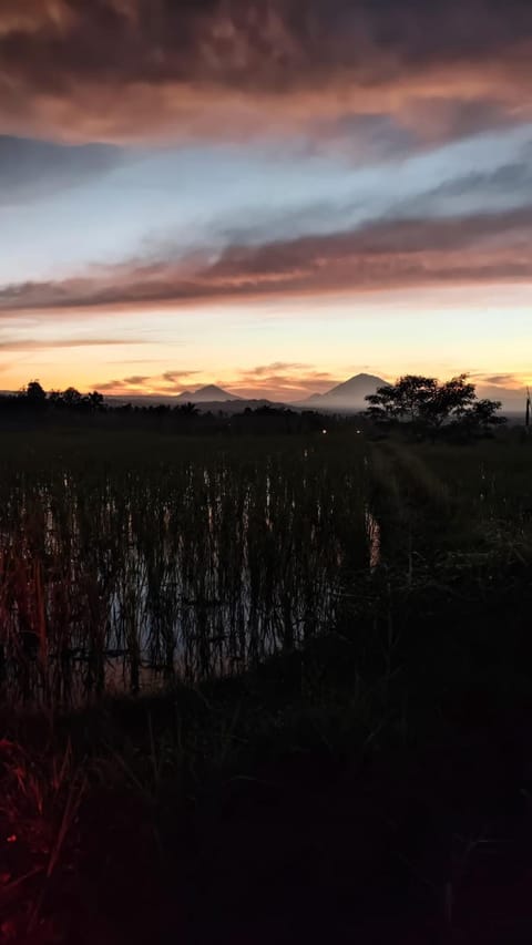 Natural landscape, Sunrise