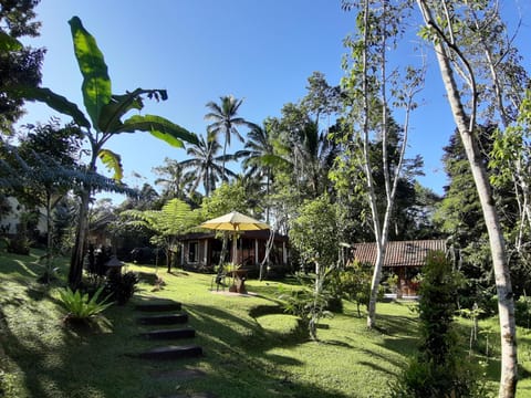 Property building, Garden