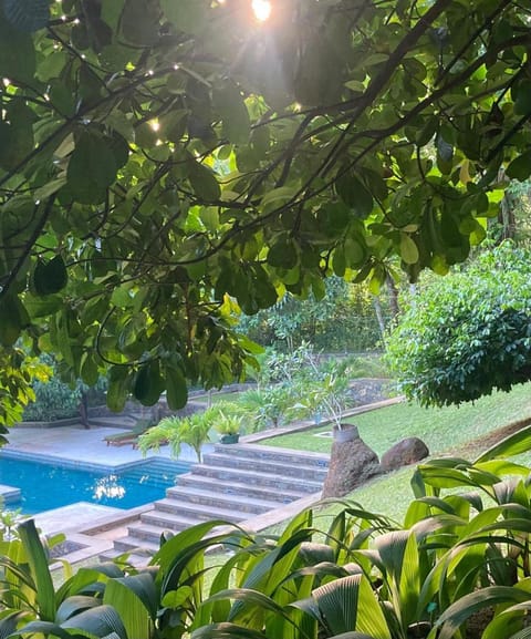 Garden, Pool view