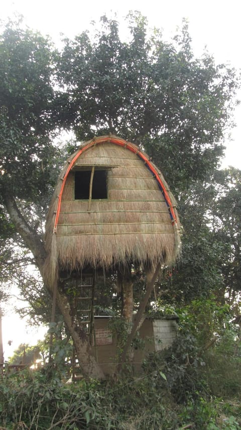 Property building, Natural landscape