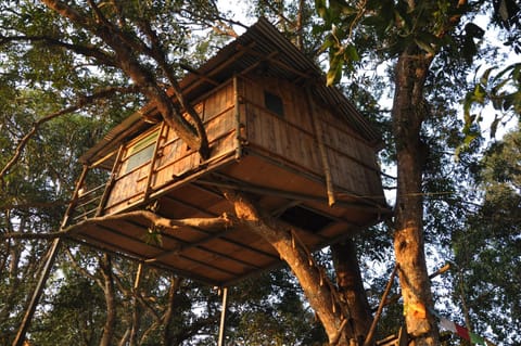 Pemsee's Tree Town - Eco-friendly,Tree house hostel Nature lodge in Bagmati Province, Nepal