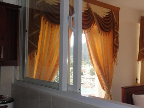 City And Hills View Apartment Apartment in Nuwara Eliya