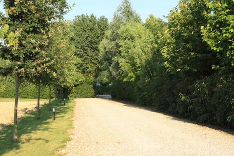 Garden, Garden view