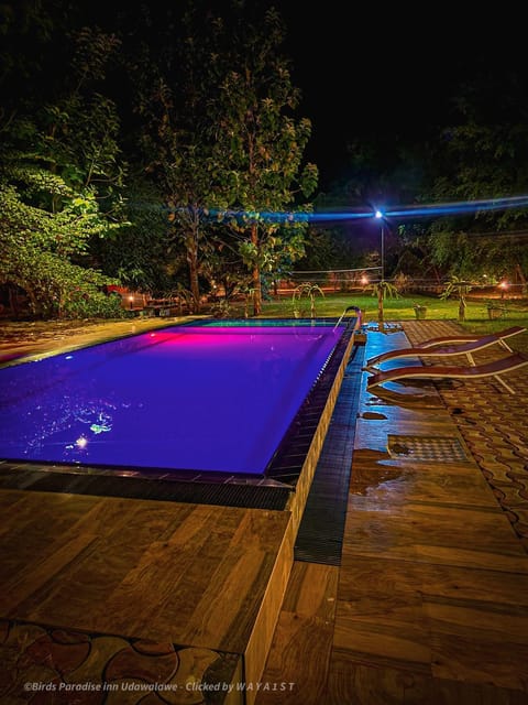 Night, Pool view, Swimming pool