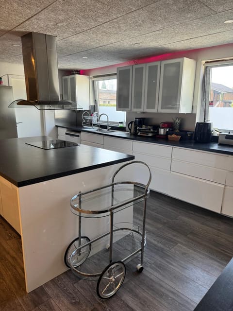 Flot Moderne Hus Villa in Copenhagen