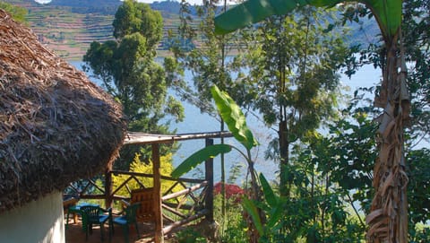 Amasiko Homestay Lake Bunyonyi Bed and Breakfast in Uganda