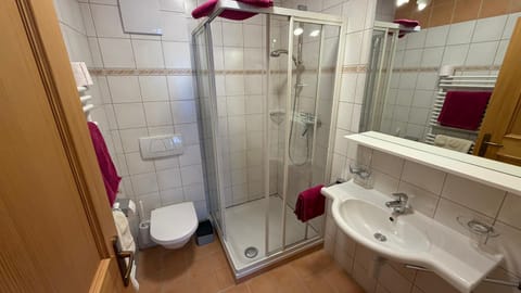 Shower, Toilet, Bathroom, towels