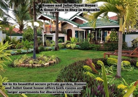 Romeo and Juliet Guest House Bed and Breakfast in Negombo