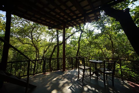 Patio, View (from property/room)