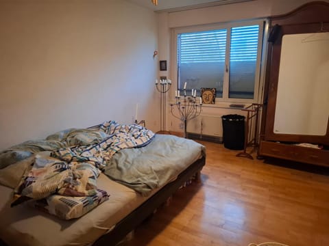 Mos paradise Apartment in Zurich City