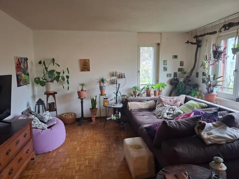 Mos paradise Apartment in Zurich City