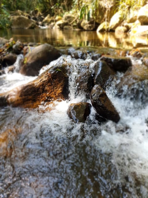Sitio e Pousada Vagalumes House in Resende