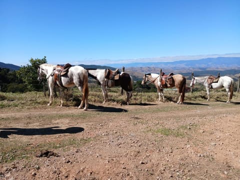 Sitio e Pousada Vagalumes House in Resende