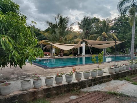 Garden, Pool view