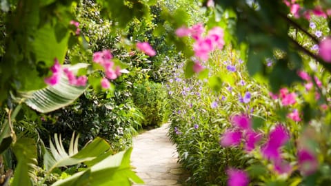 Day, Natural landscape, Garden, Floor plan, Garden view