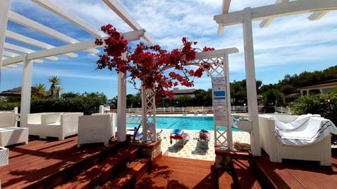 Pool view, Swimming pool