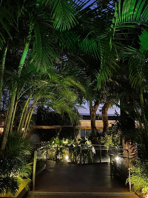 Night, Natural landscape, Garden, Garden view