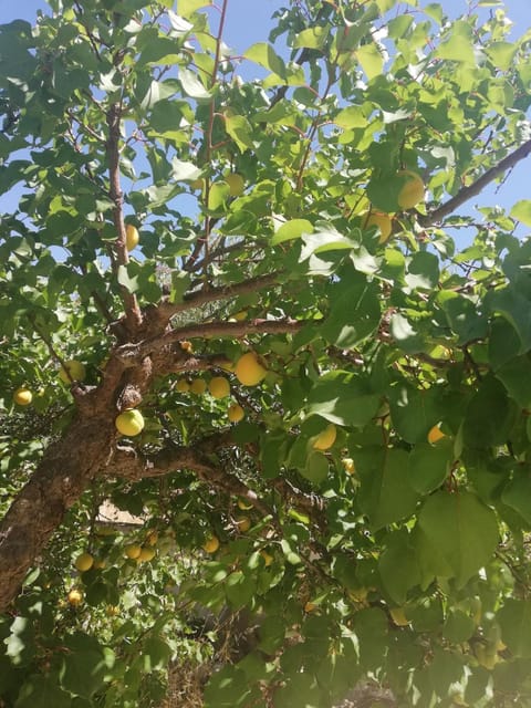 View (from property/room), View (from property/room), City view, City view, Garden view, Garden view, Landmark view, Landmark view, Mountain view, Mountain view, Street view, Street view, Quiet street view, Inner courtyard view