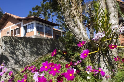 Property building, Garden view