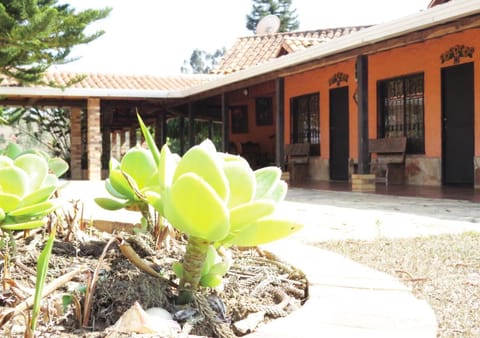 Property building, Garden, Garden view