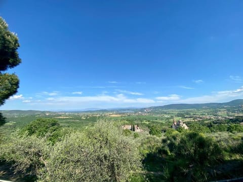 Locazione turistica ex Le Casette Di Cedromonte House in Umbria