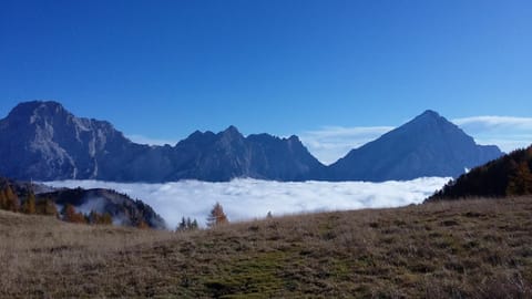 Appartamenti da Nica e Diego Apartment in Trentino-South Tyrol