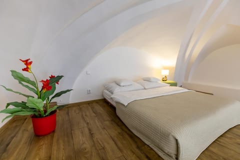 Palác Daun - Studio Apartments Apartment in South Moravian Region