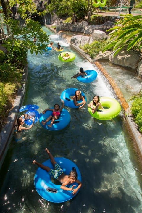 Aqua park, Swimming pool