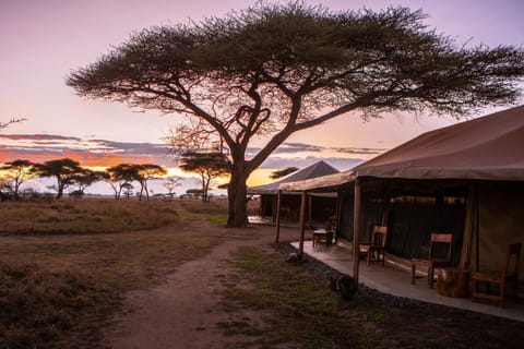 Mawe Tented Camp Natur-Lodge in Kenya