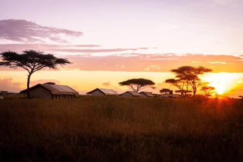 Mawe Tented Camp Lodge nature in Kenya