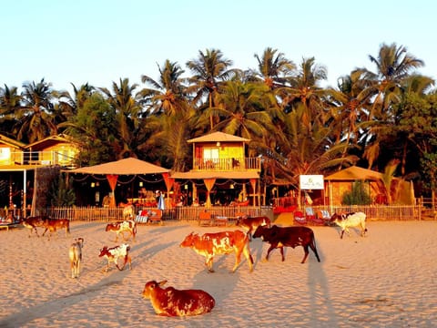 Sonho do Mar Resort in Agonda