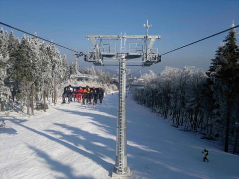 Winter, Ski School, Skiing