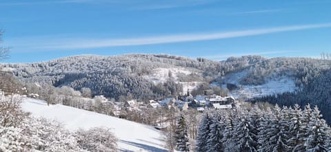 Natural landscape, Winter, Ski School, Ski School, Skiing, Skiing, Mountain view