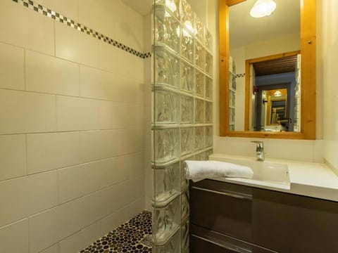 Grand appartement 5 chambres Valmorel, animaux acceptés, parking - FR-1-291-730 Apartment in Les Avanchers-Valmorel