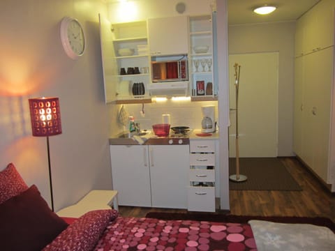 Piriko Piccolo Apartment Condo in Rovaniemi