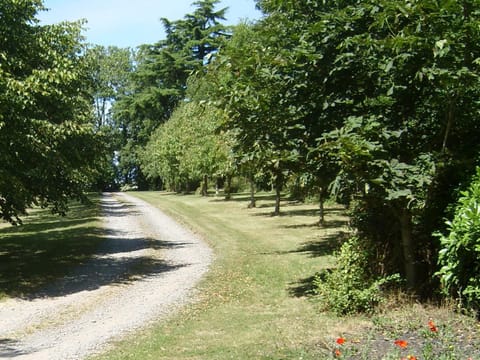 The Hall Farm Bed And Breakfast Bed and Breakfast in Huntingdonshire District