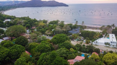 Property building, Natural landscape, Bird's eye view, Beach