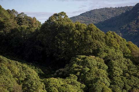 Natural landscape, Hiking, Mountain view