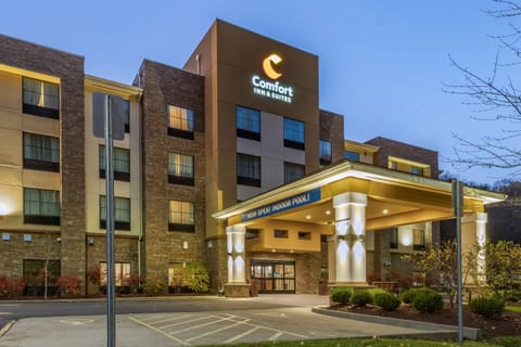 Comfort Inn & Suites Pittsburgh Hotel in Pittsburgh